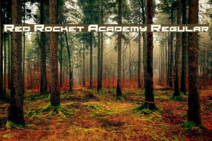 Red Rocket Academy Regular Example 3