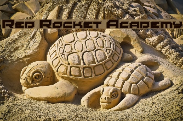 Red Rocket Academy Example 2