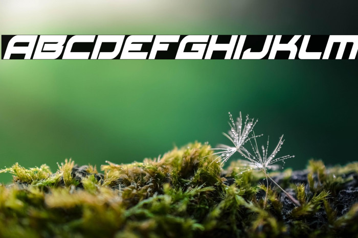 Red Rocket Condensed Italic Example 3