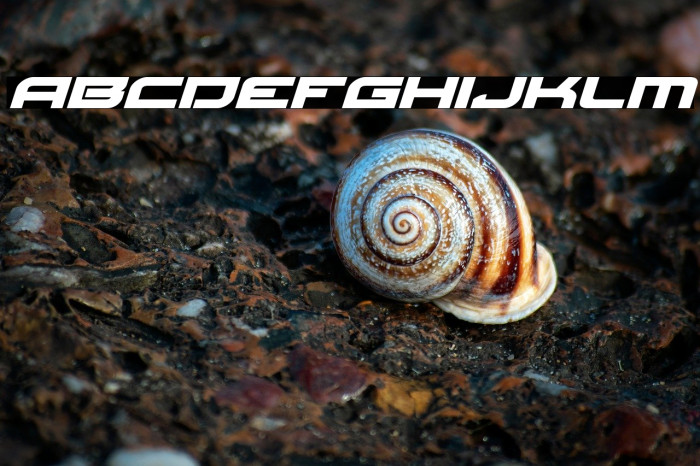 Red Rocket Expanded Italic Example 2