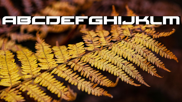 Red Rocket Expanded Example 3