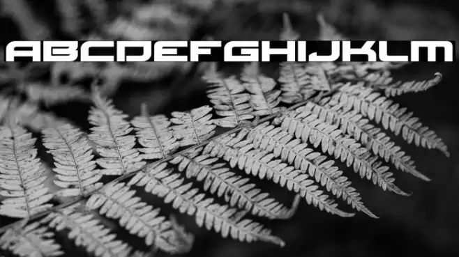 Red Rocket Expanded Font examples