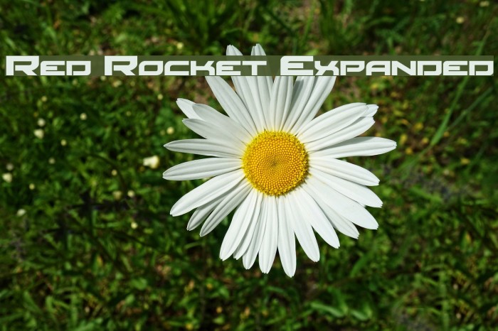 Red Rocket Expanded Font examples