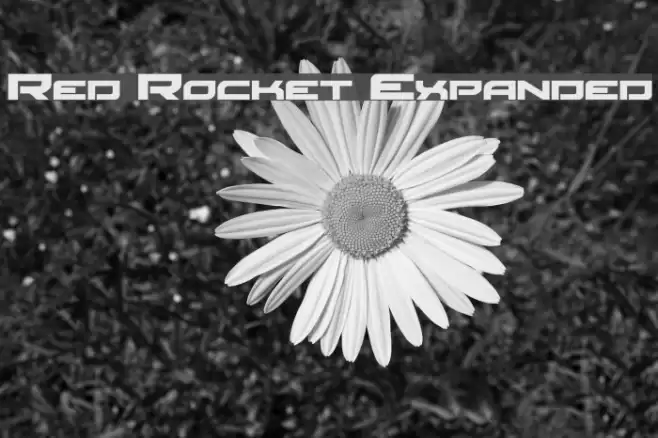 Red Rocket Expanded Шрифта examples