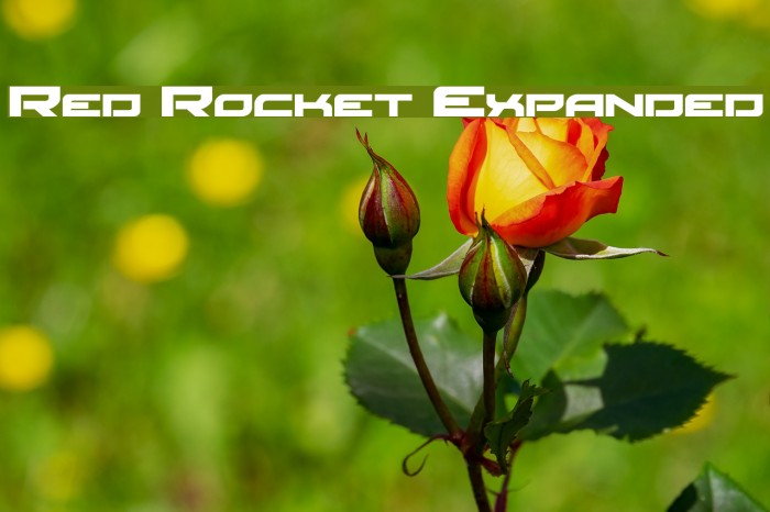 Red Rocket Expanded Font examples