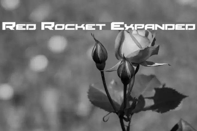 Red Rocket Expanded Шрифта examples