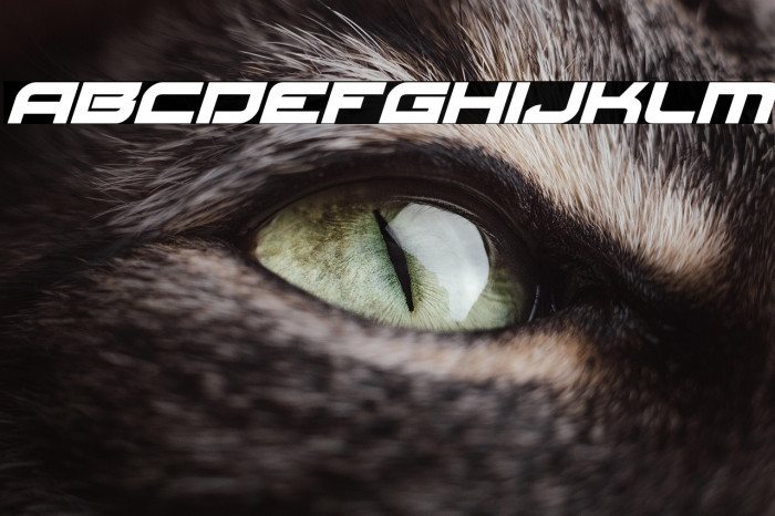 Red Rocket Italic Example 2