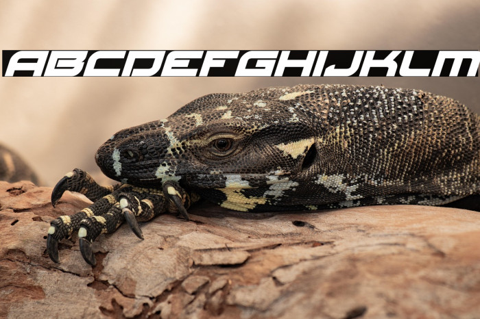 Red Rocket Italic Example 3