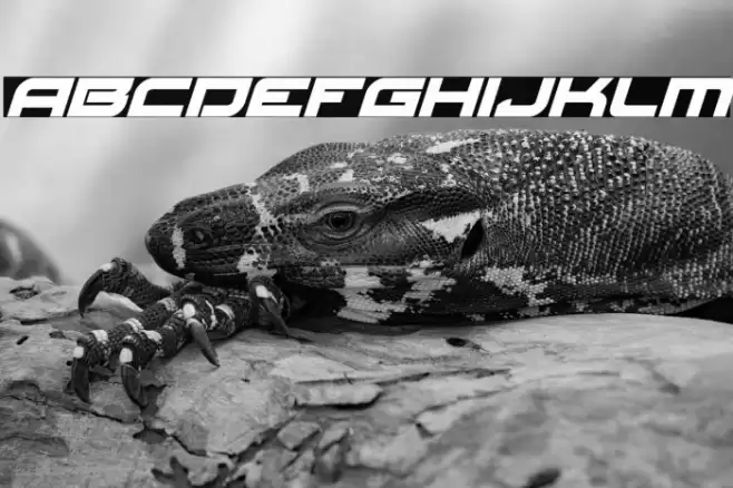 Red Rocket Italic Font examples