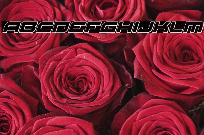 Red Rocket Outline Italic Example 1