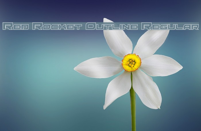 Red Rocket Outline Regular Example 1