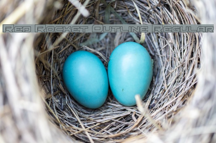 Red Rocket Outline Regular Example 3