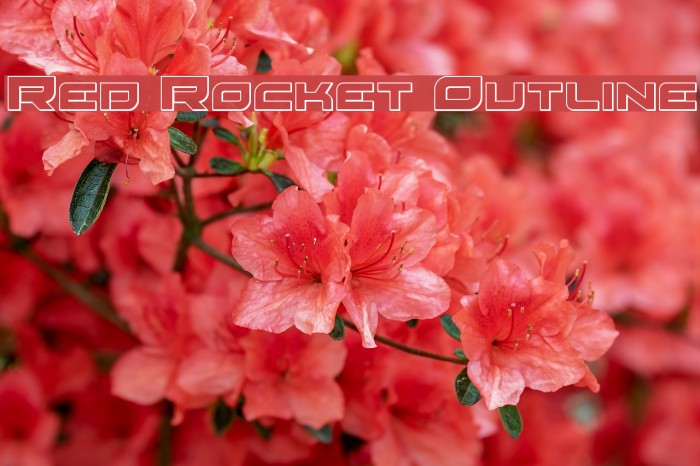 Red Rocket Outline Example 3