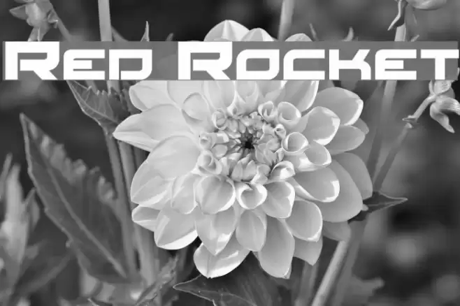 Red Rocket Font examples