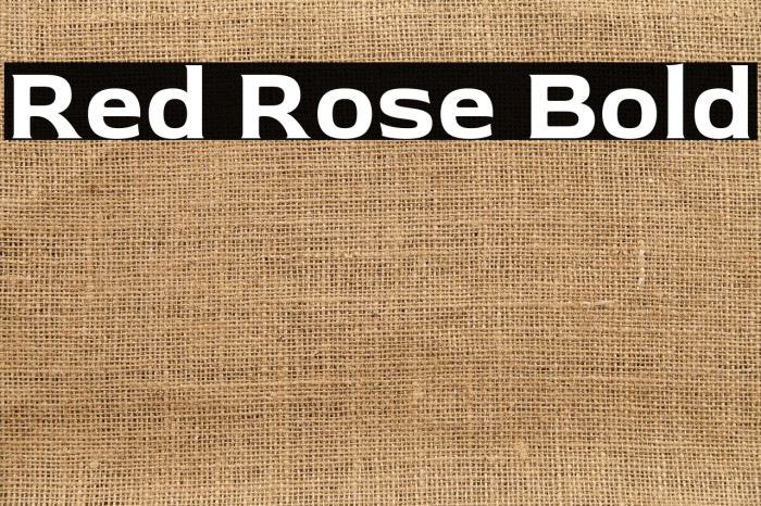 Red Rose Bold Example 3