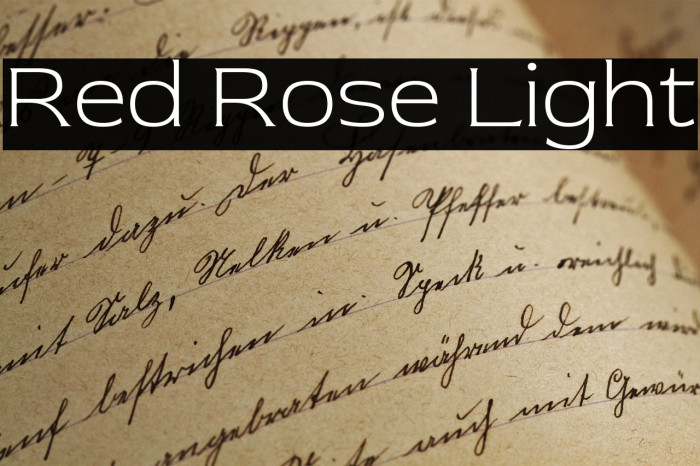 Red Rose Light Example 1