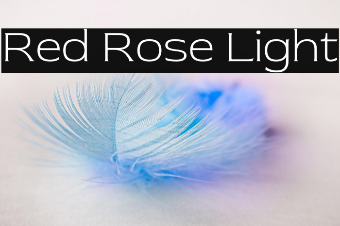 Red Rose Light Example 2