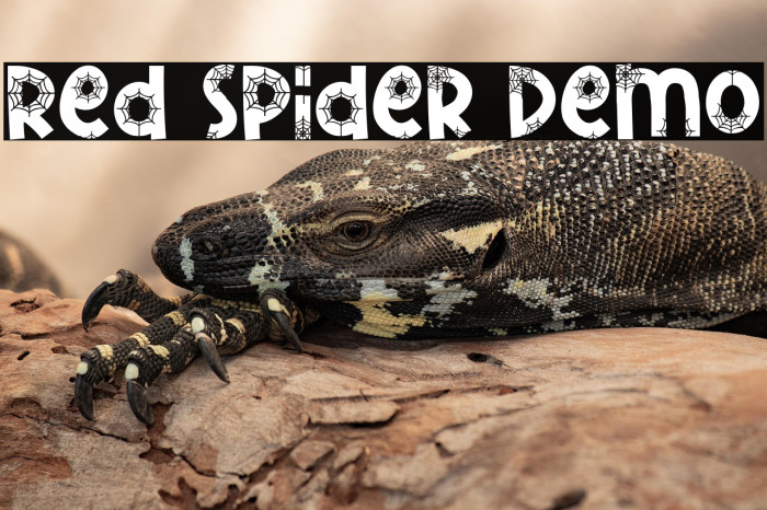 Red Spider Demo Example 1