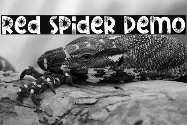 Red Spider Demo フォント examples