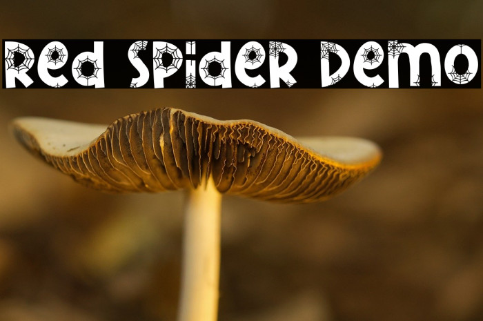 Red Spider Demo Example 2