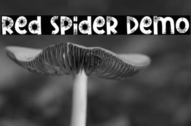 Red Spider Demo フォント examples