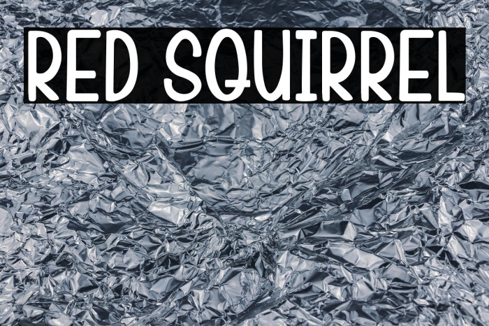 Red Squirrel Example 2