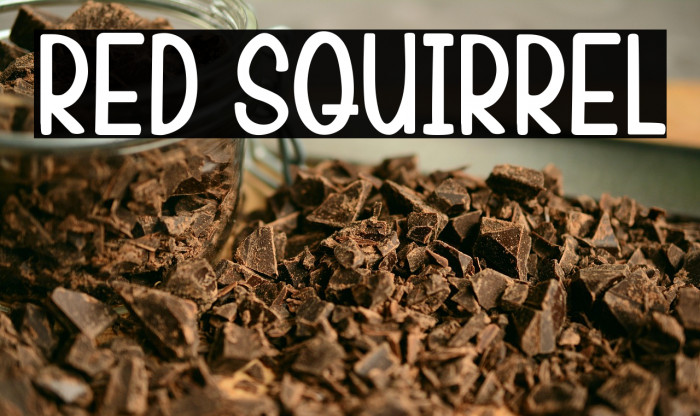 Red Squirrel Example 3