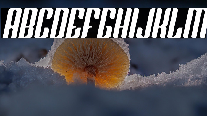 Red Steel Italic Example 2