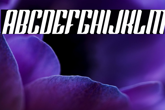 Red Steel Italic Example 3