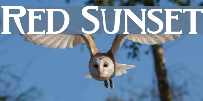 Red Sunset Font examples