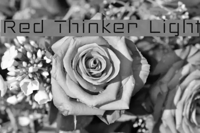 Red Thinker Light Font examples
