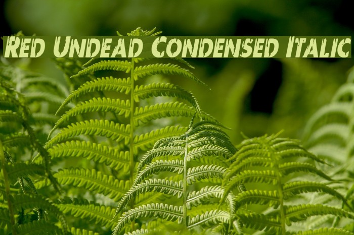 Red Undead Condensed Italic Font examples