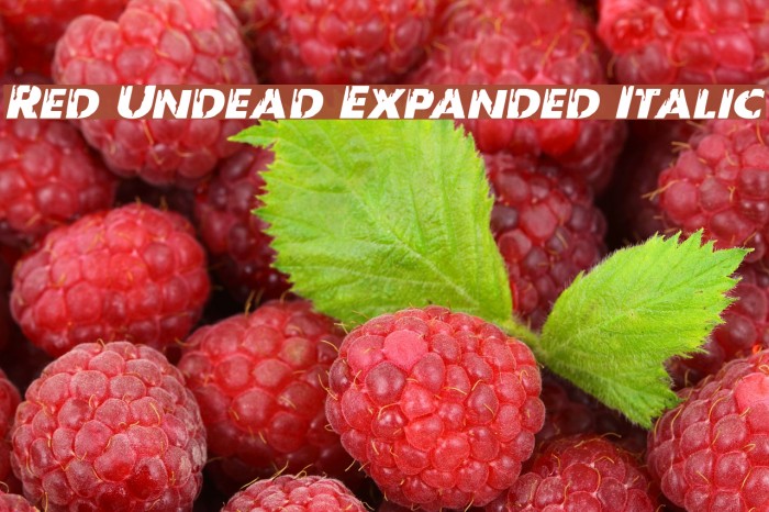 Red Undead Expanded Italic Font examples