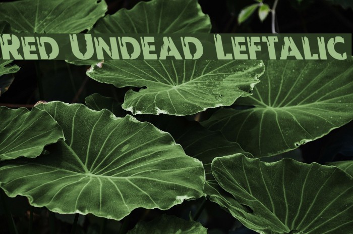 Red Undead Leftalic Шрифта examples