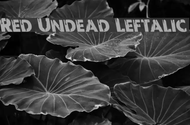 Red Undead Leftalic Шрифта examples