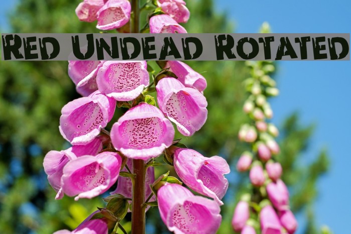Red Undead Rotated Font examples