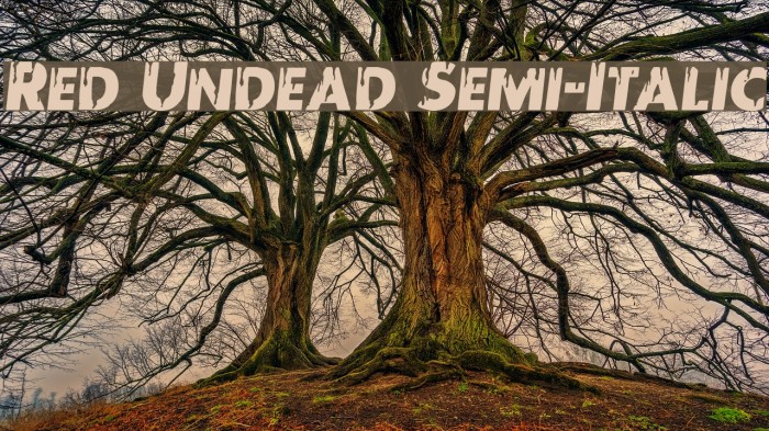 Red Undead Semi-Italic Font examples
