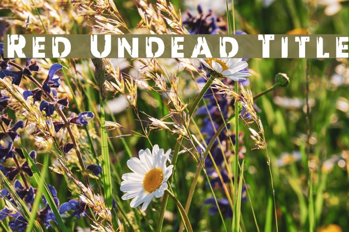 Red Undead Title Font examples