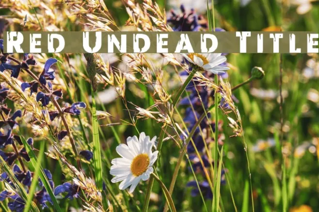 Red Undead Title Example 1