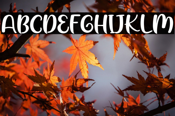 Red Velvet Example 1