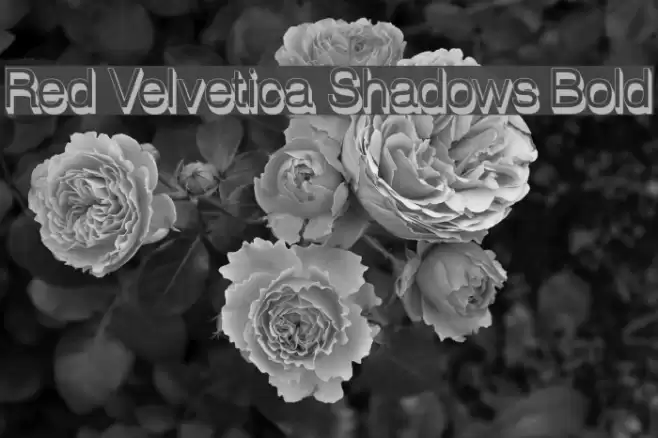Red Velvetica Shadows Bold Font examples