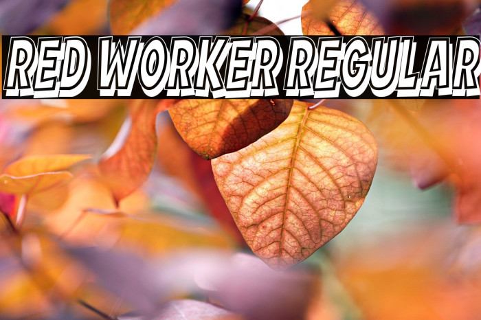 Red Worker Regular Example 2