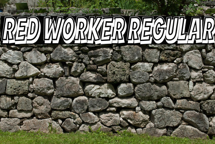 Red Worker Regular Example 3