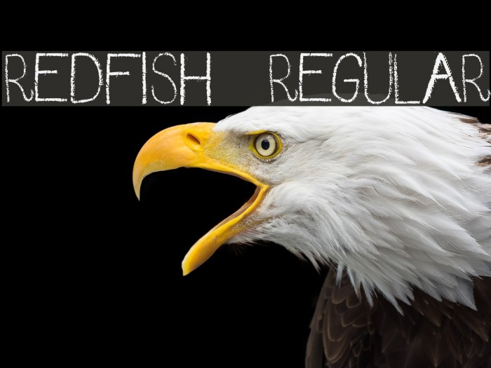 RedFish-Regular Font examples