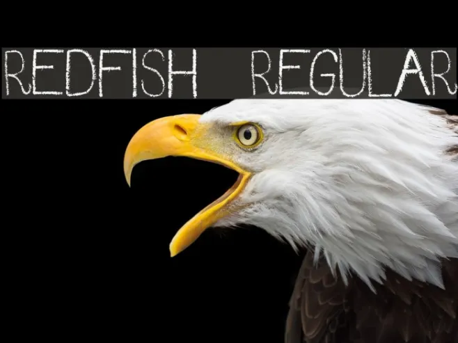 RedFish-Regular Example 1