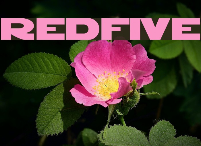 RedFive Font examples