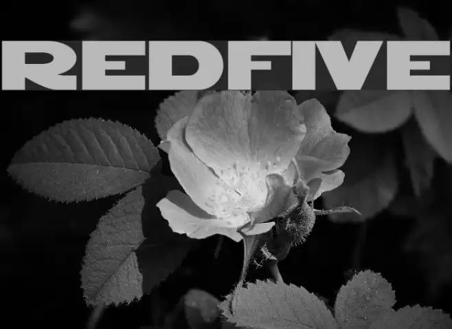 RedFive Шрифта examples