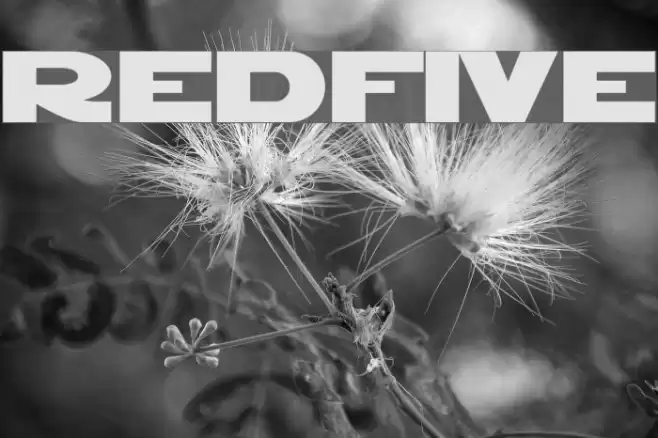 RedFive Шрифта examples