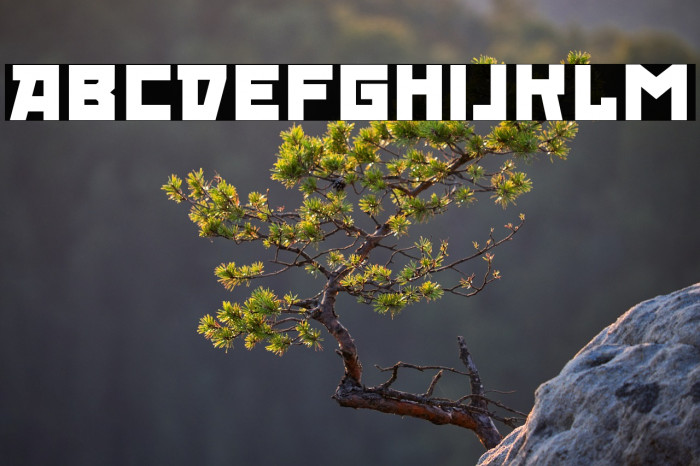 RedOctober-Fat Example 2