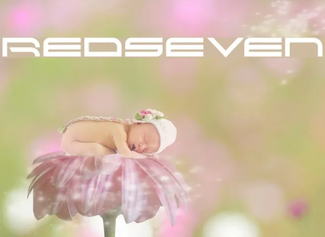 RedSeven Example 2